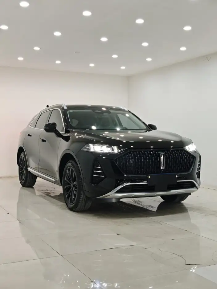 Mocha 2021 Model 2.0T 2WD Strong Edition