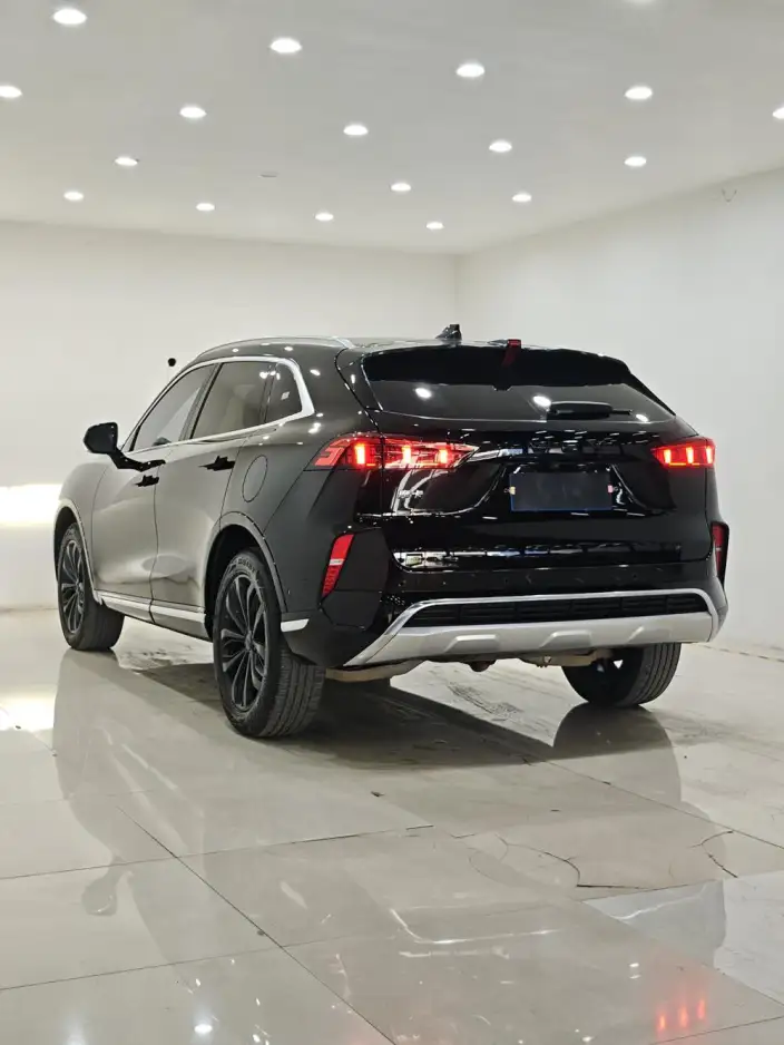 Mocha 2021 Model 2.0T 2WD Strong Edition