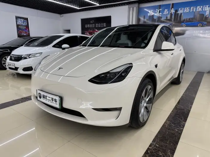 Model Y 2022 Model Long Battery Life Pro All-wheel drive version – фото 1