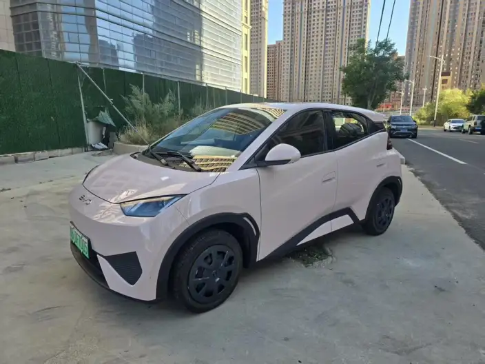 BYD Seagull 2026 Model Vitality Edition – фото 1