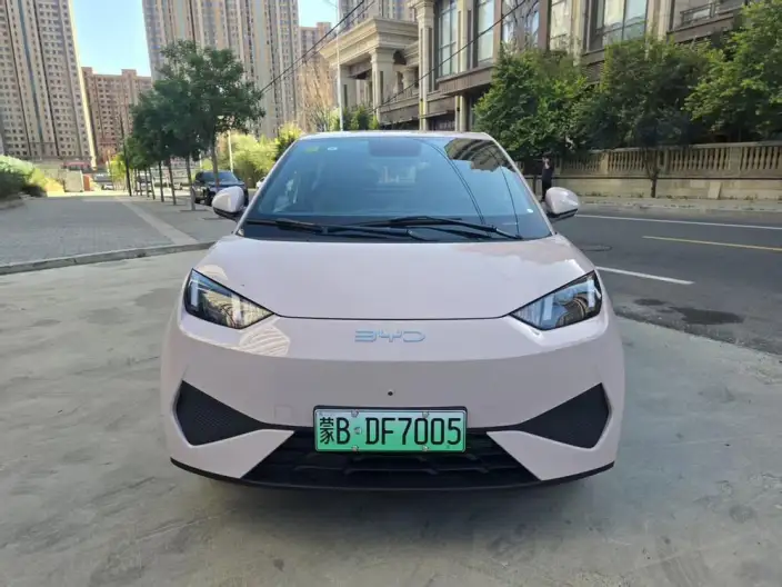BYD Seagull 2026 Model Vitality Edition – фото 2