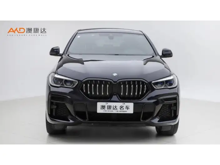 BMW X6 2022 Model xDrive40i M Sports Set – фото 2
