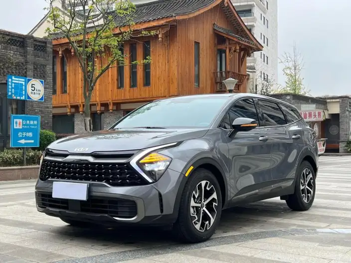 Lion Platinum 2023 Model 1.5T 2WD Premium Edition