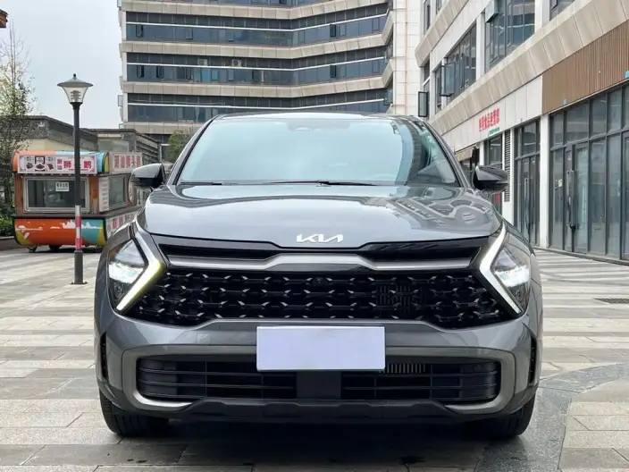 Lion Platinum 2023 Model 1.5T 2WD Premium Edition
