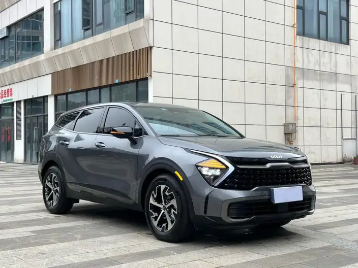 Lion Platinum 2023 Model 1.5T 2WD Premium Edition