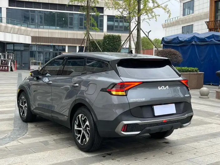 Lion Platinum 2023 Model 1.5T 2WD Premium Edition
