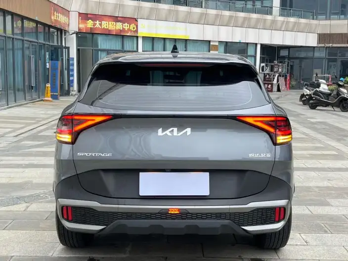Lion Platinum 2023 Model 1.5T 2WD Premium Edition – фото 5