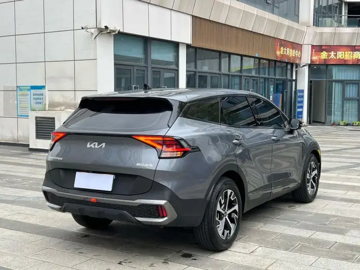Lion Platinum 2023 Model 1.5T 2WD Premium Edition – фото 6