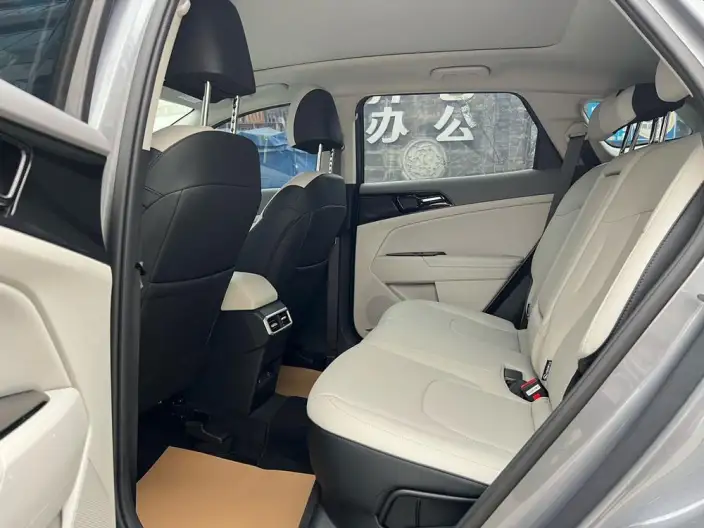 Lion Platinum 2023 Model 1.5T 2WD Premium Edition – фото 9