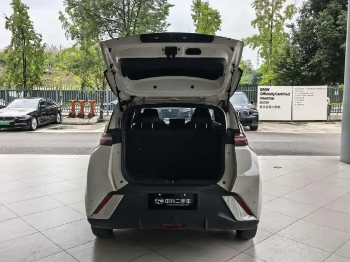 BYD Seagull 2024 Model Honor Edition 305KM Free Edition – фото 7