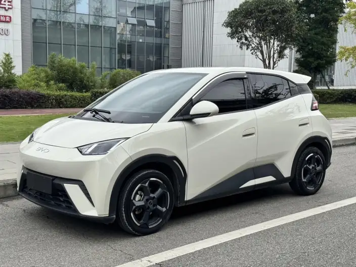 BYD Seagull 2023 Model Free Edition – фото 1
