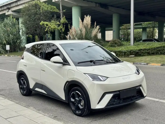 BYD Seagull 2023 Model Free Edition – фото 3