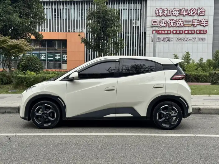 BYD Seagull 2023 Model Free Edition – фото 4