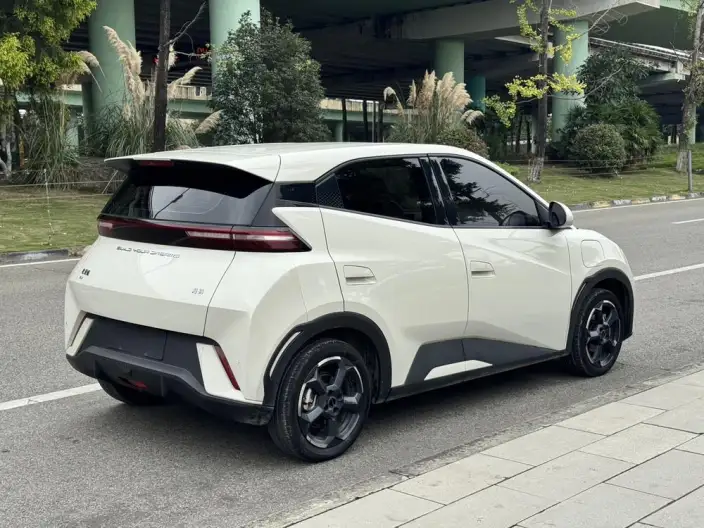 BYD Seagull 2023 Model Free Edition – фото 7