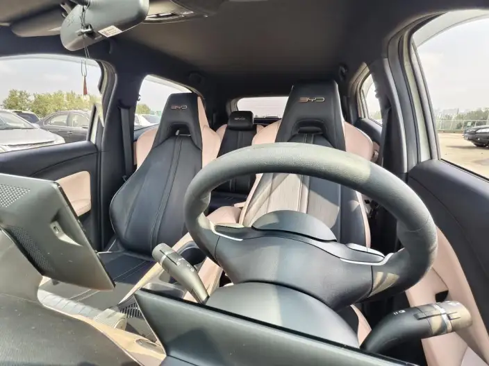 BYD Seagull 2023 Model Vitality Edition – фото 8