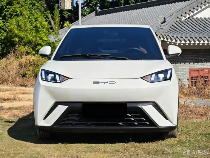 BYD Seagull 2025 Model 305KM Free Edition – фото 2
