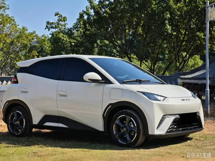 BYD Seagull 2025 Model 305KM Free Edition – фото 3