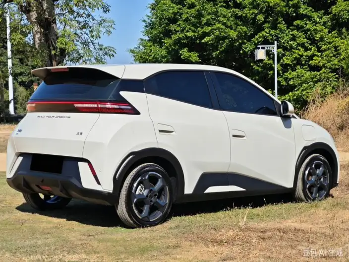 BYD Seagull 2025 Model 305KM Free Edition – фото 6