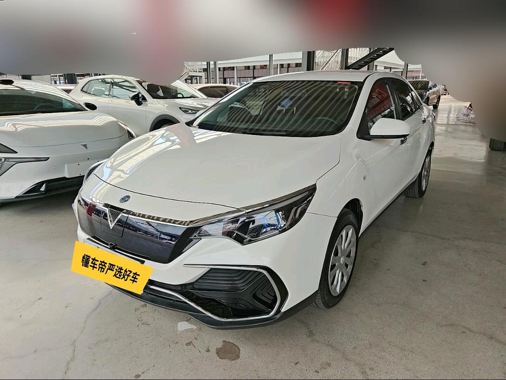 Venucia D60 EV 2020 Standard Range Smart Enjoy Edition