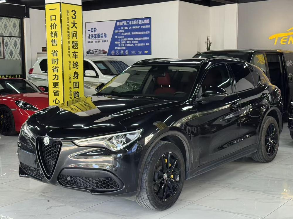 Alfa Romeo Stelvio Модель 2020 года 2.0T 280HP Deluxe Edition – фото 1