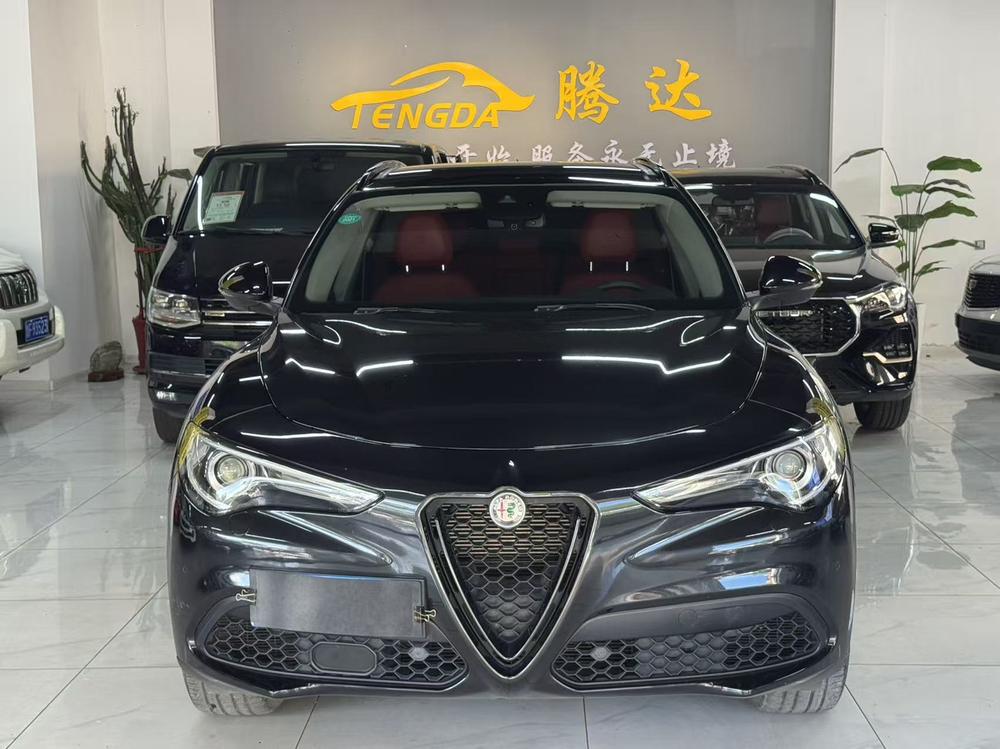 Alfa Romeo Stelvio Модель 2020 года 2.0T 280HP Deluxe Edition – фото 2