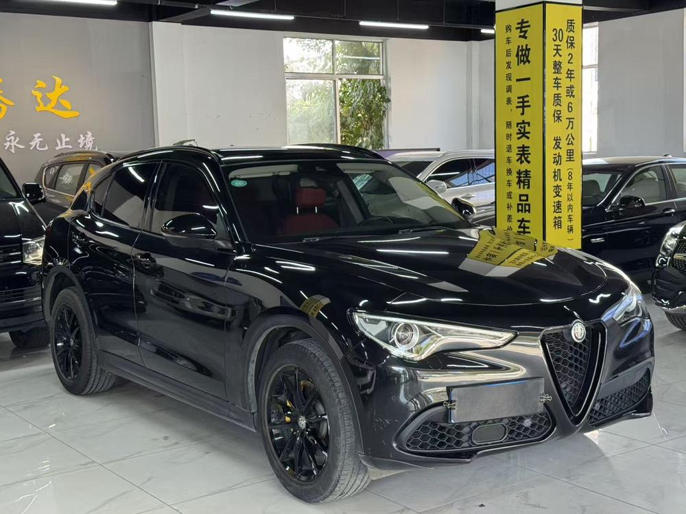 Alfa Romeo Stelvio Модель 2020 года 2.0T 280HP Deluxe Edition – фото 3