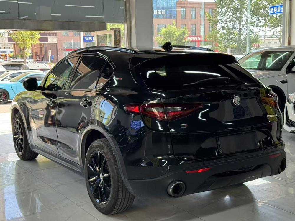 Alfa Romeo Stelvio Модель 2020 года 2.0T 280HP Deluxe Edition – фото 4