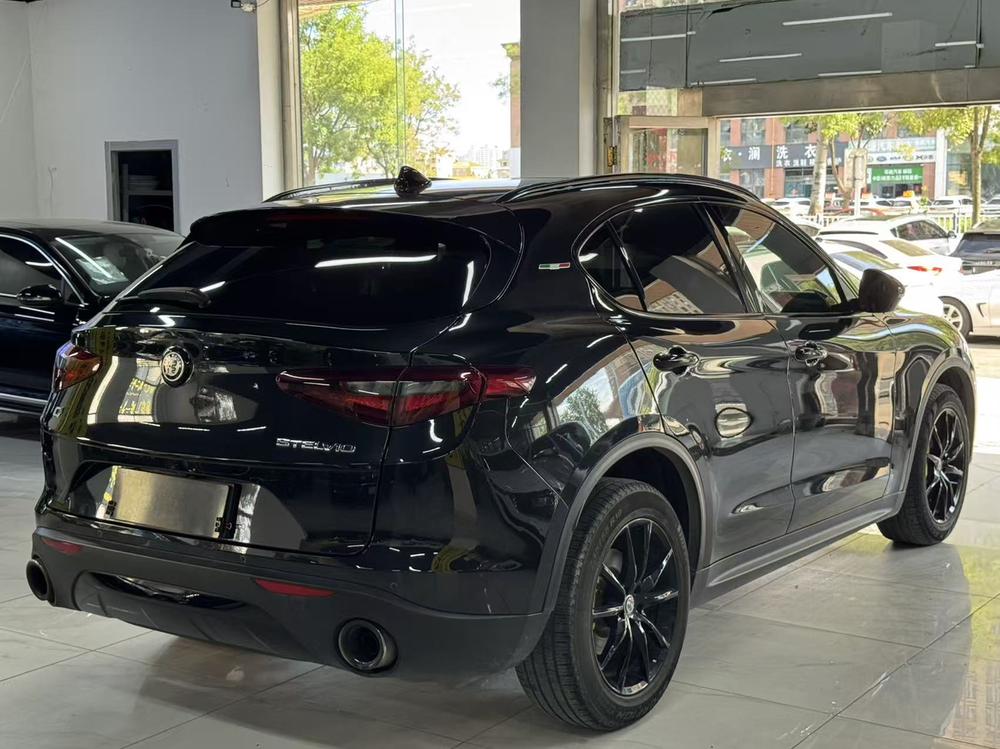 Alfa Romeo Stelvio Модель 2020 года 2.0T 280HP Deluxe Edition – фото 6