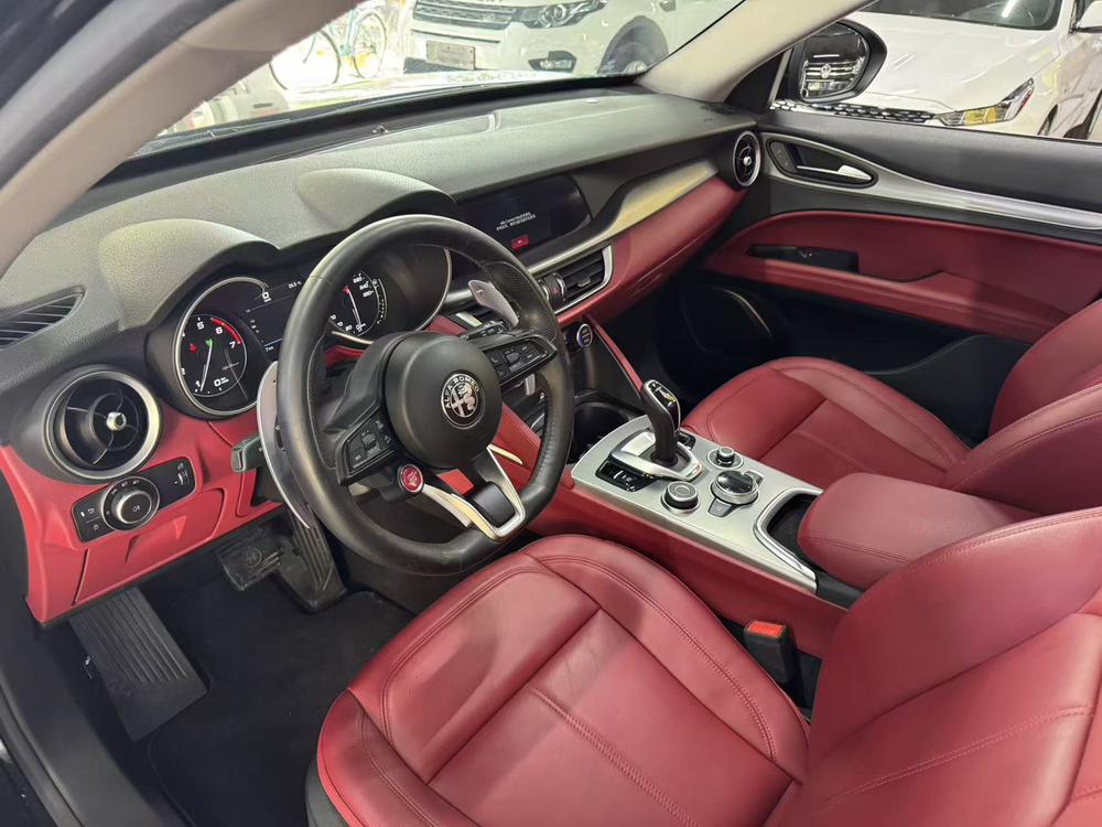 Alfa Romeo Stelvio Модель 2020 года 2.0T 280HP Deluxe Edition – фото 9
