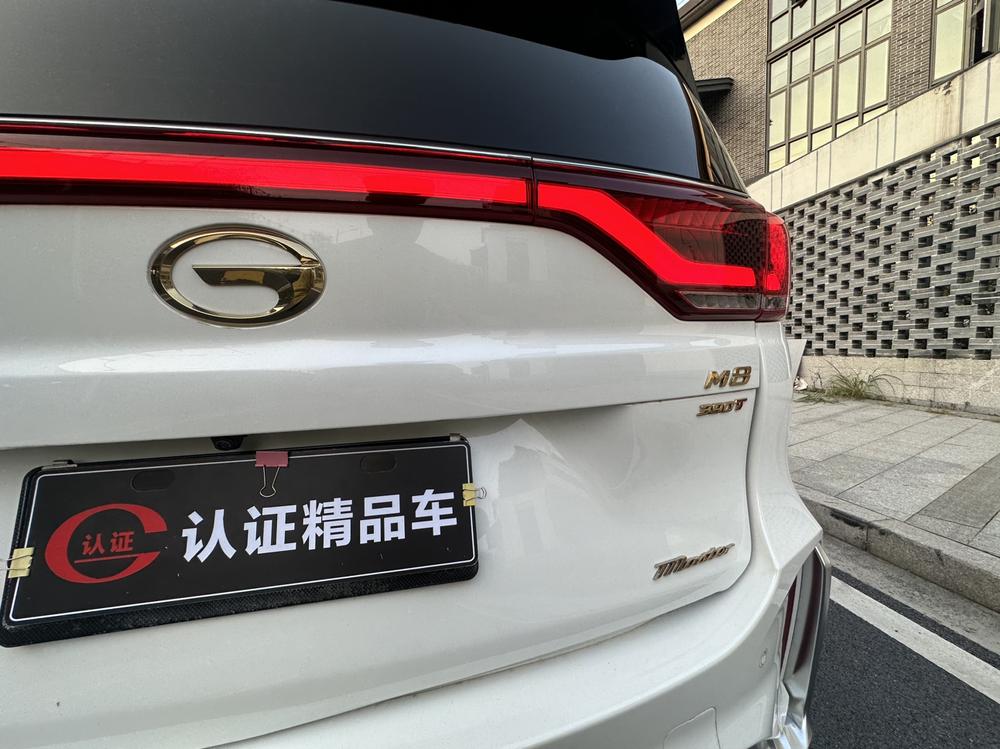 GAC Trumpchi M8 2021 Master Series 390T 4-seat Imperial – фото 16