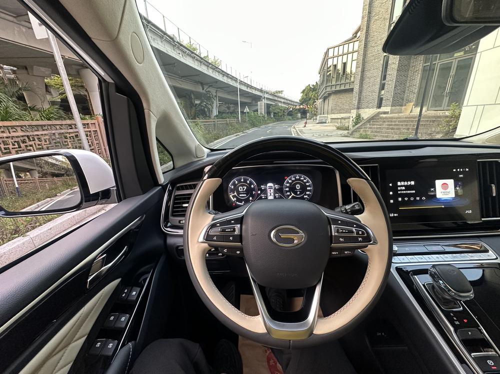 GAC Trumpchi M8 2021 Master Series 390T 4-seat Imperial – фото 21