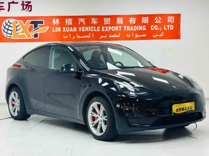 Model Y 2022 Model Facelift Long Battery Life Pro All-wheel drive version – фото 3