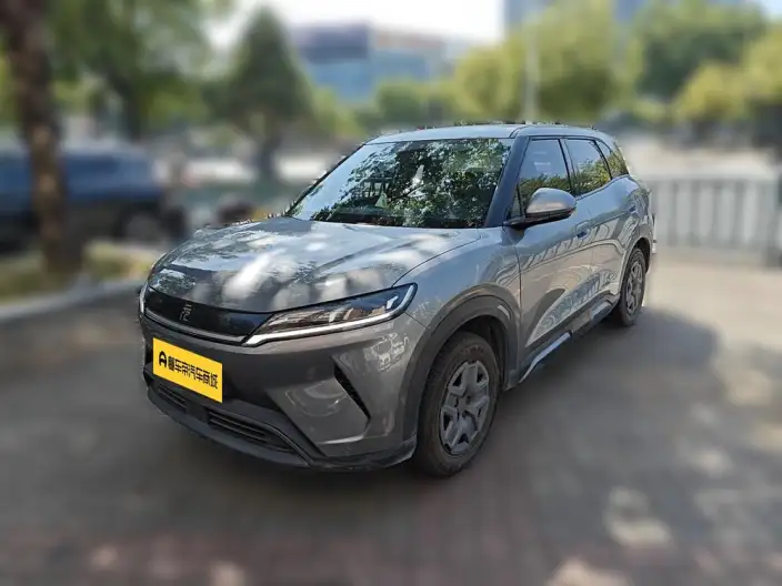 Yuan UP 2025 Model 301KM Pilot Model – фото 1