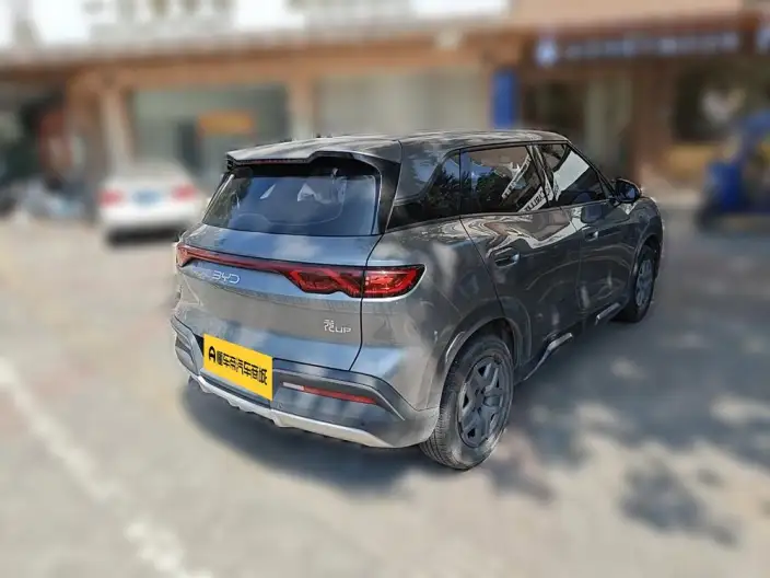 Yuan UP 2025 Model 301KM Pilot Model – фото 2