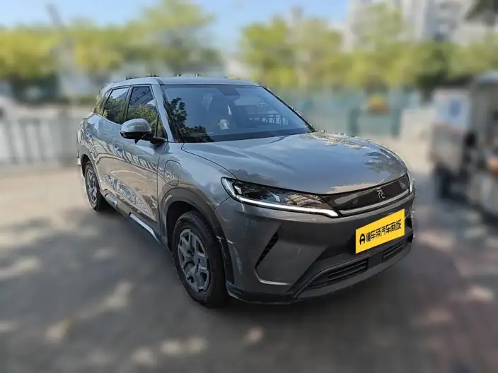 Yuan UP 2025 Model 301KM Pilot Model – фото 3