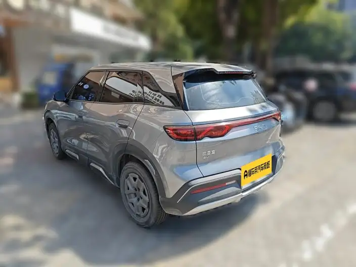 Yuan UP 2025 Model 301KM Pilot Model – фото 4