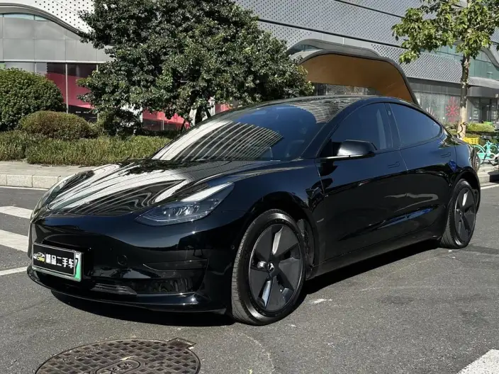 Model 3 2022 Model Rear-wheel drive version – фото 1