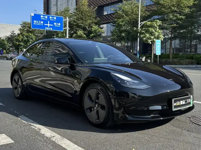 Model 3 2022 Model Rear-wheel drive version – фото 3