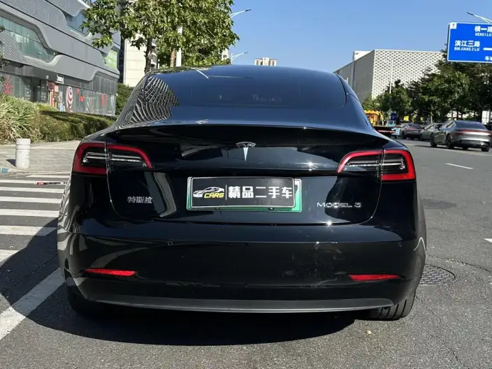 Model 3 2022 Model Rear-wheel drive version – фото 6