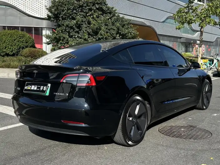 Model 3 2022 Model Rear-wheel drive version – фото 7