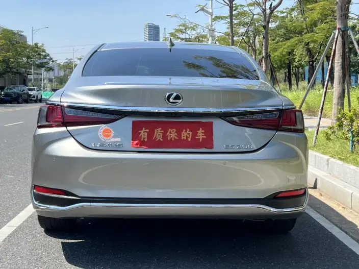 Lexus ES 2023 Model 2.0L Automatic Qian Drive 5 seat Parallel Imported