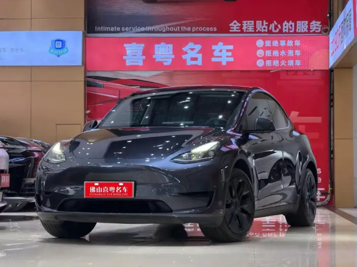 Model Y 2024 Model Rear-wheel drive version – фото 1