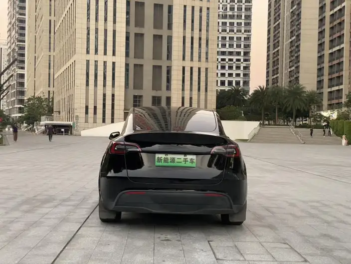 Model Y 2022 Model Rear-wheel drive version – фото 5