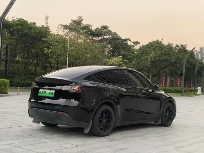 Model Y 2022 Model Rear-wheel drive version – фото 6