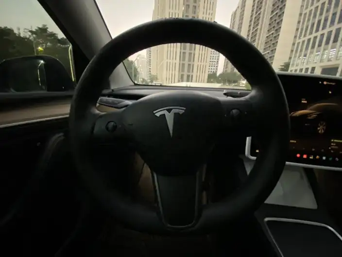 Model Y 2022 Model Rear-wheel drive version – фото 8