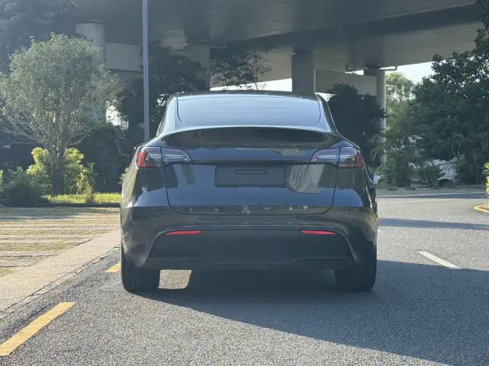 Model Y 2024 Model Rear-wheel drive version – фото 5