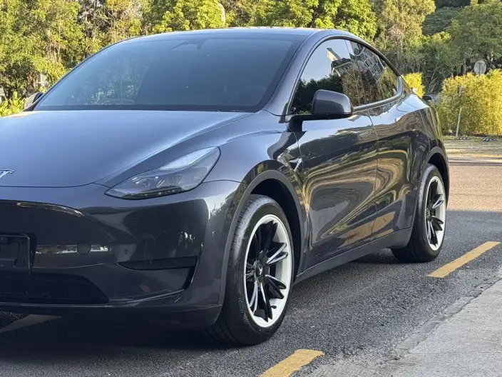 Model Y 2024 Model Rear-wheel drive version – фото 10