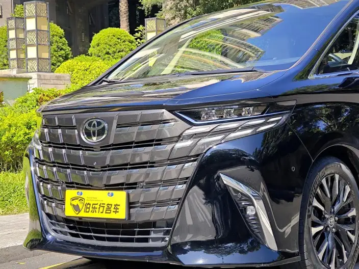 Elfa 2025 Model 2.5L Intelligent Hybrid 4WD Zhen Xiang Gold Edition – фото 8
