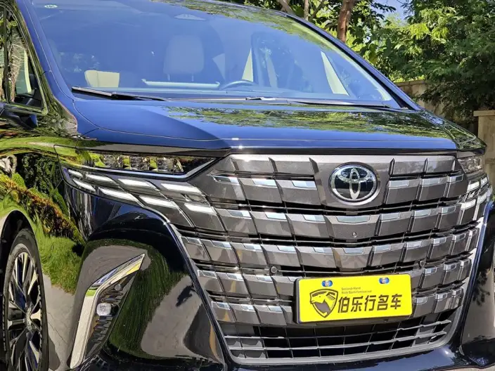 Elfa 2025 Model 2.5L Intelligent Hybrid 4WD Zhen Xiang Gold Edition – фото 9