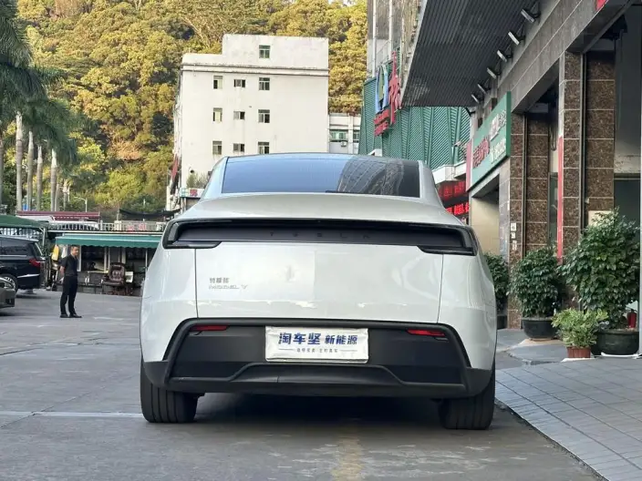 Model Y 2025 Model Rear-wheel drive version – фото 5